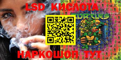 стафф Берёзовский