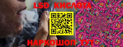 стафф Берёзовский