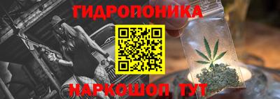 эйфоретик Бийск