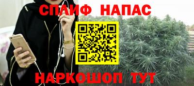 стафф Берёзовский