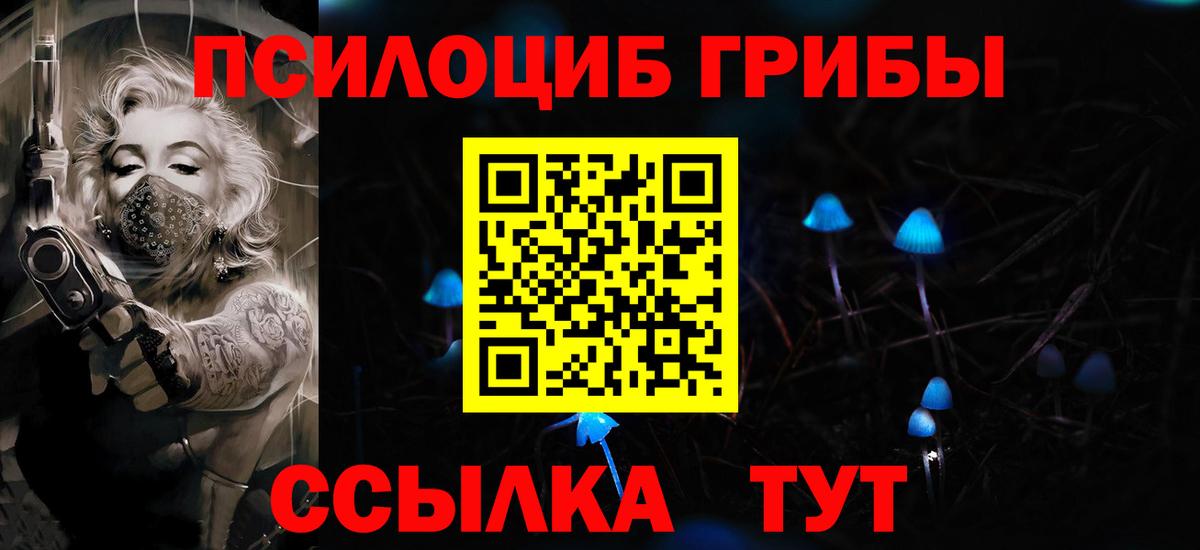 где продают   Псилоцибиновые грибы MAGIC MUSHROOMS  Вход с VPN  Касимов 